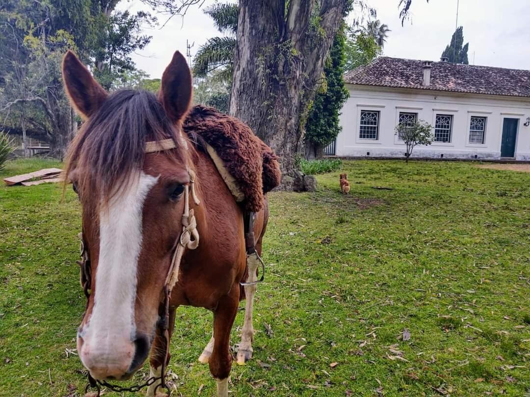 Pousada Do Sobrado Bagé 外观 照片